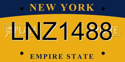LNZ1488 New York License Plate