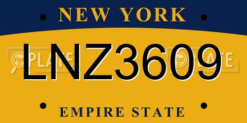 LNZ3609 New York License Plate