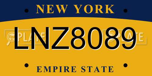 LNZ8089 New York License Plate