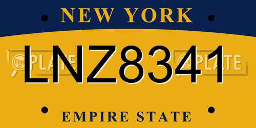 LNZ8341 New York License Plate