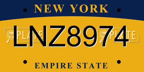 LNZ8974 New York License Plate