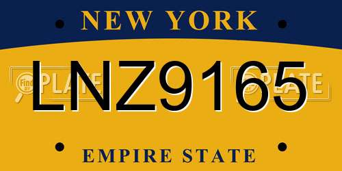 LNZ9165 New York License Plate
