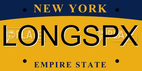 LONGSPX New York License Plate