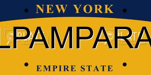 LPAMPARA New York License Plate