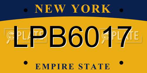 LPB6017 New York License Plate