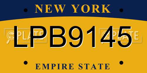 LPB9145 New York License Plate