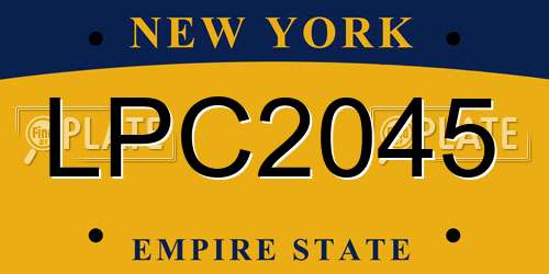 LPC2045 New York License Plate