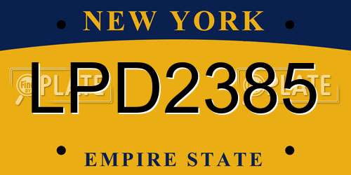 LPD2385 New York License Plate