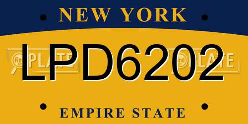 LPD6202 New York License Plate