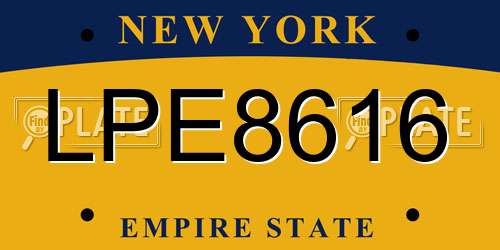 LPE8616 New York License Plate