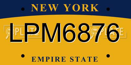 LPM6876 New York License Plate