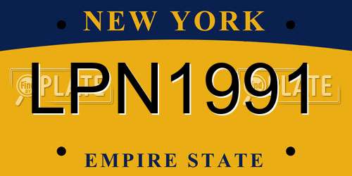 LPN1991 New York License Plate