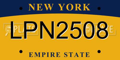 LPN2508 New York License Plate