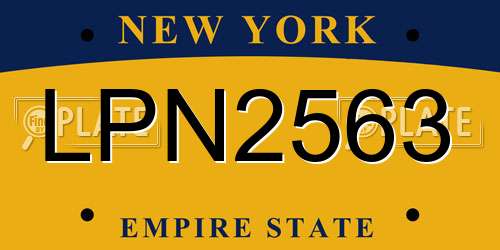 LPN2563 New York License Plate