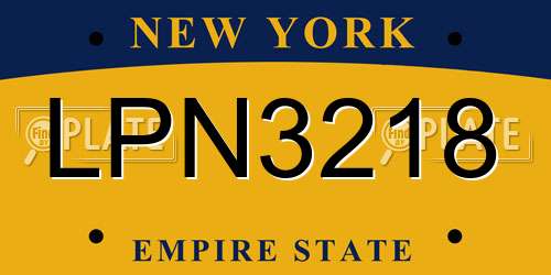 LPN3218 New York License Plate