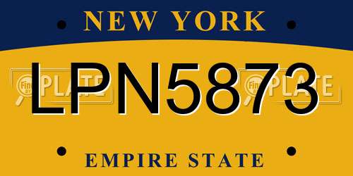 LPN5873 New York License Plate