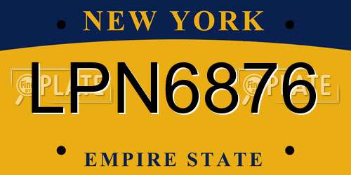 LPN6876 New York License Plate