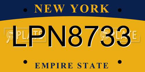 LPN8733 New York License Plate
