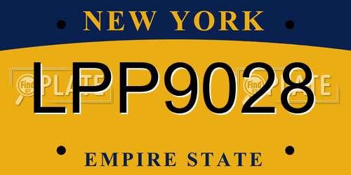 LPP9028 New York License Plate