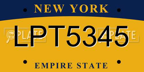 LPT5345 New York License Plate