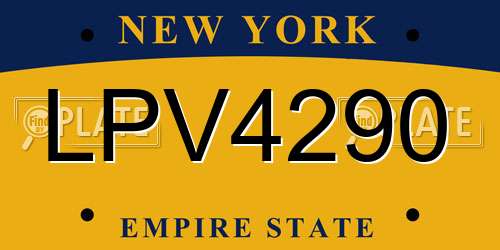 LPV4290 New York License Plate