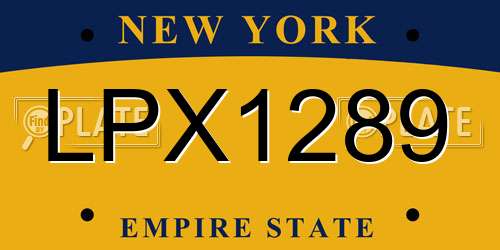 LPX1289 New York License Plate