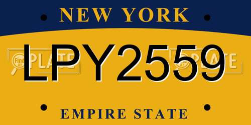 LPY2559 New York License Plate