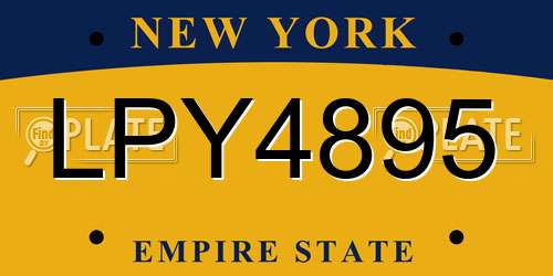 LPY4895 New York License Plate