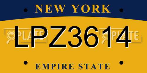 LPZ3614 New York License Plate