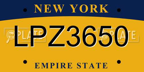 LPZ3650 New York License Plate