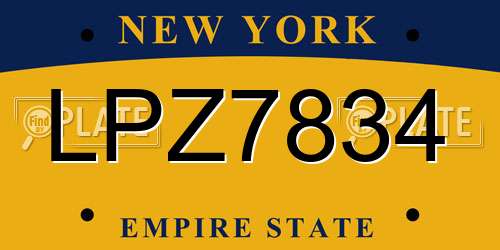 LPZ7834 New York License Plate