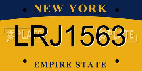 LRJ1563 New York License Plate