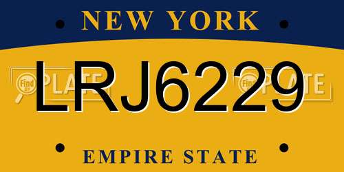 LRJ6229 New York License Plate
