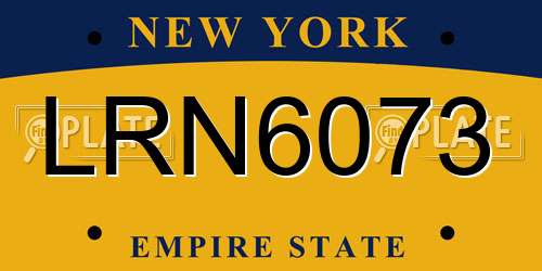 LRN6073 New York License Plate