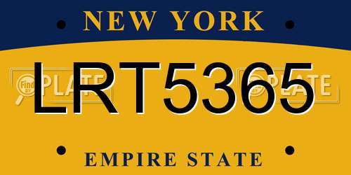 LRT5365 New York License Plate