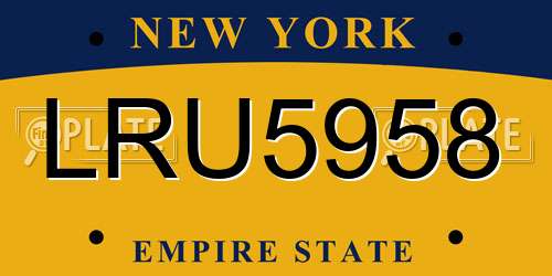 LRU5958 New York License Plate