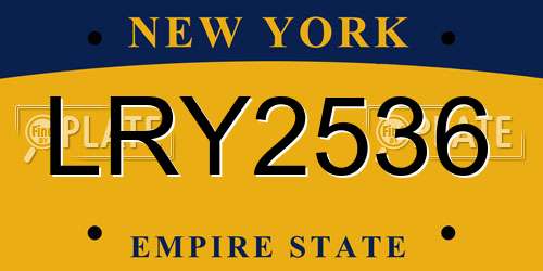LRY2536 New York License Plate