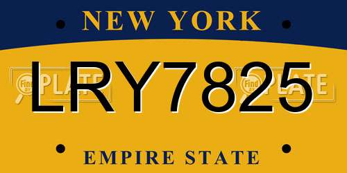 LRY7825 New York License Plate