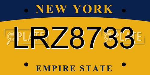 LRZ8733 New York License Plate