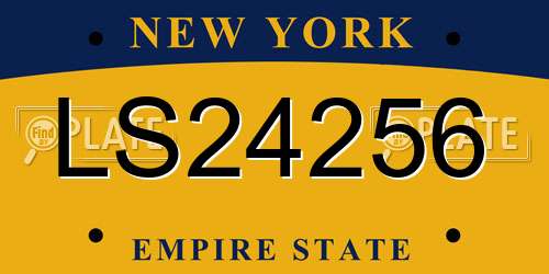 LS24256 New York License Plate