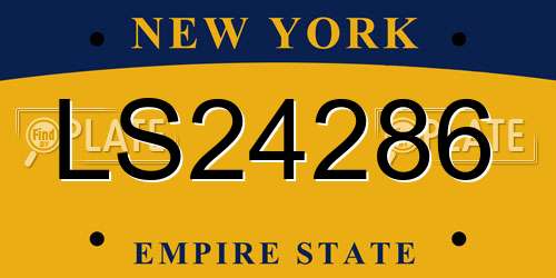 LS24286 New York License Plate