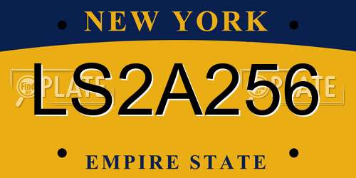LS2A256 New York License Plate