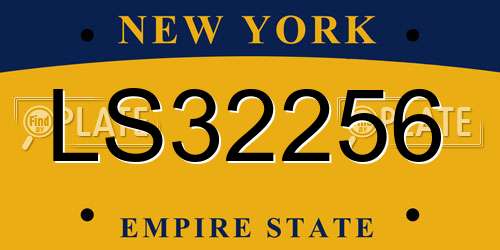 LS32256 New York License Plate