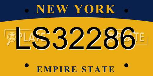 LS32286 New York License Plate