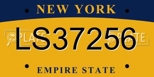 LS37256 New York License Plate