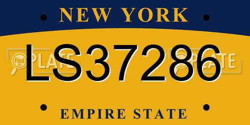 LS37286 New York License Plate