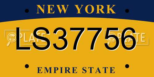 LS37756 New York License Plate