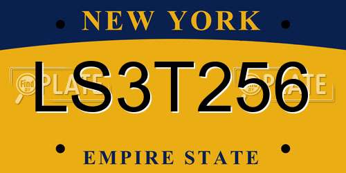 LS3T256 New York License Plate