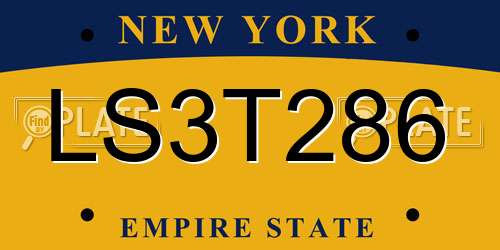 LS3T286 New York License Plate