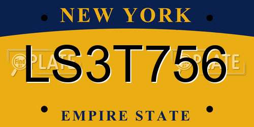 LS3T756 New York License Plate